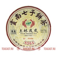 Ту Линь 8504 2023 010167