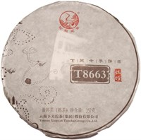 Сягуань T8663 2019 990036