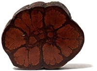 Подставка Дерево #990347 990347